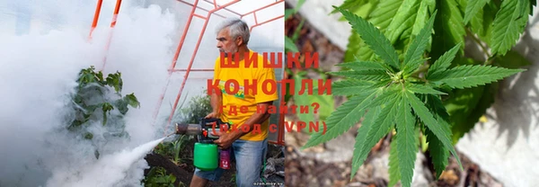apvp Алексеевка