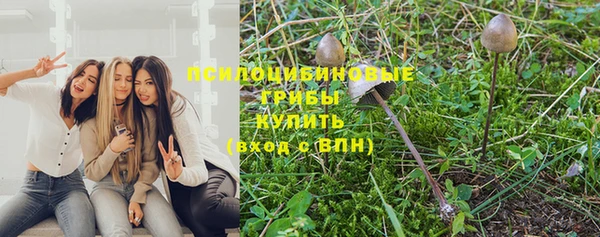 apvp Алексеевка