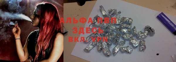 сатива Алзамай