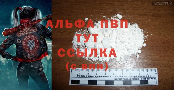сатива Алзамай