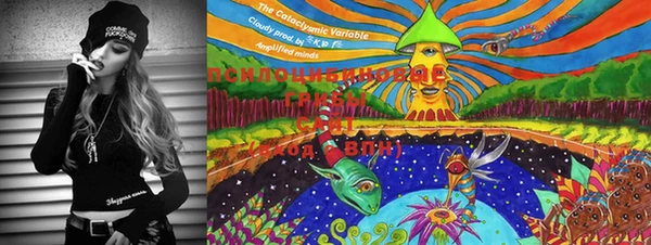 MESCALINE Абаза
