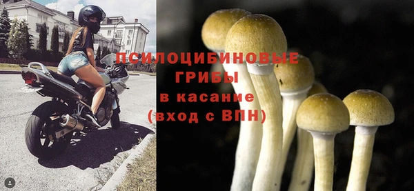 apvp Алексеевка